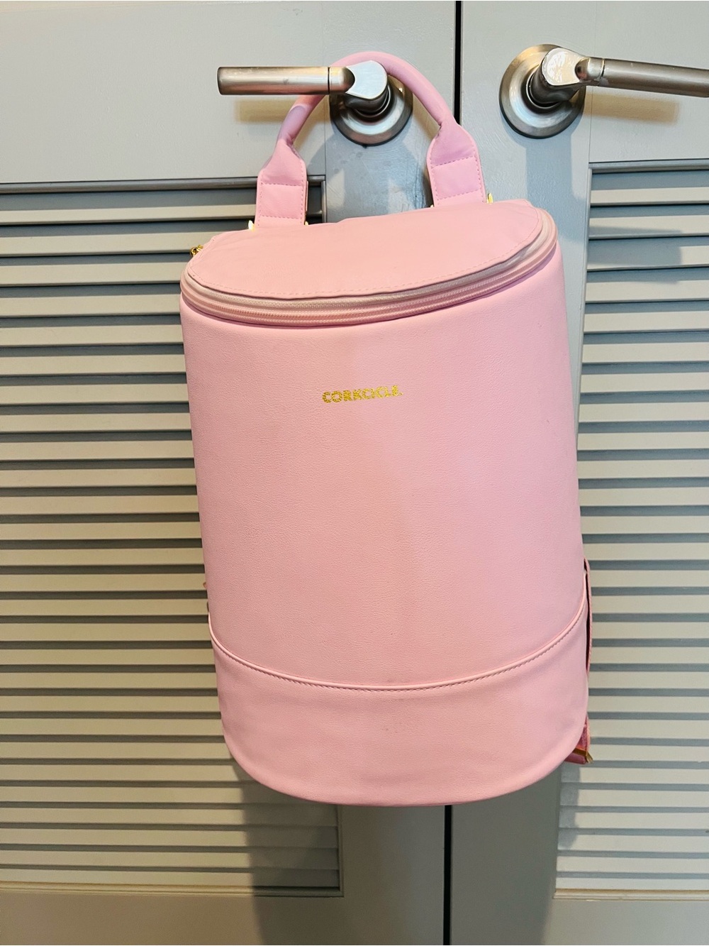 Corkcicle Pink Backpack